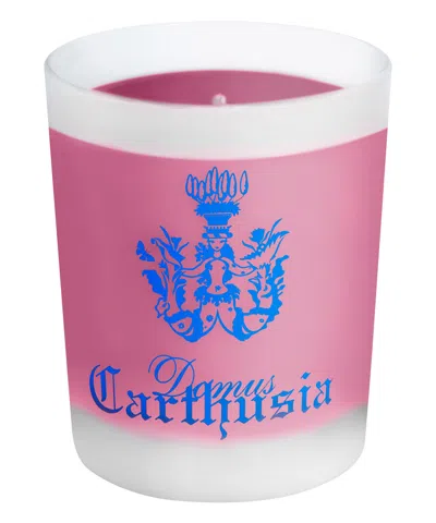 Carthusia I Profumi Di Capri Scented Candle Frutto Di Bacco 190 G In Pink