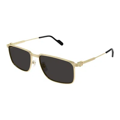 Cartier Ct0534s 001 In Gold