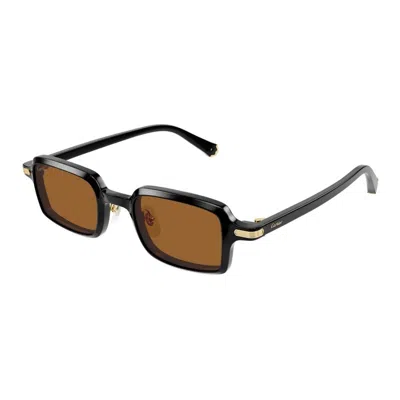 Cartier Ct0539s 003 In Brown