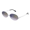 Cartier Ct0551s 003 In Metallic