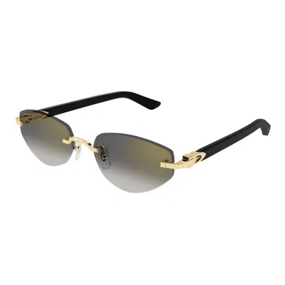 Cartier Ct0580s 001 In Multi