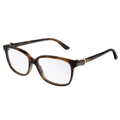 Cartier Ct0187o002 Havana Havana Transpa