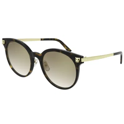 Cartier Ct0245sk002 Havana Gold Brown