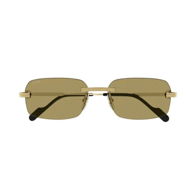 Cartier Ct0271s-009gold-gold-brown In Green