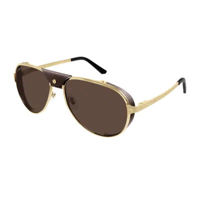 Cartier Ct0296 S Sunglasses In Brown