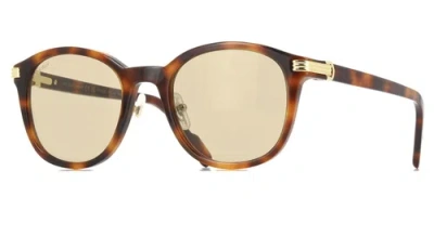 Pre-owned Cartier Ct0302s-012 Havana Havana Brown Sunglasses