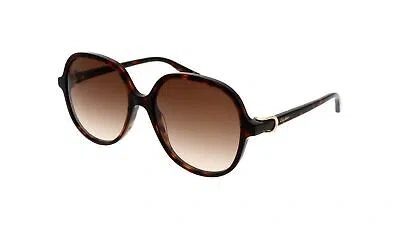 Pre-owned Cartier Ct0350s-002 Havana Sunglasses In Brown