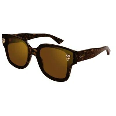 Pre-owned Cartier Ct0357sa-002 Havana Havana Brown Sunglasses