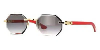 Pre-owned Cartier Ct0439s-003 Red Sunglasses In Gray