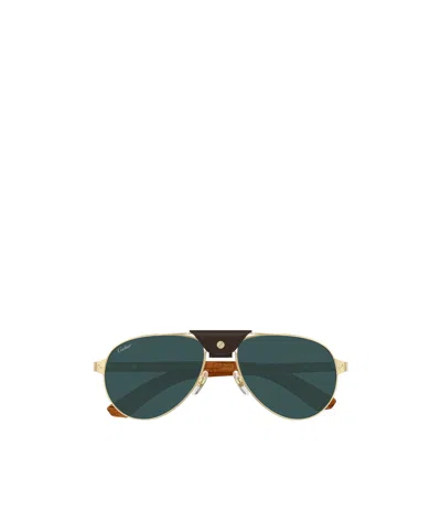 Cartier Ct0495s Sunglasses In Green
