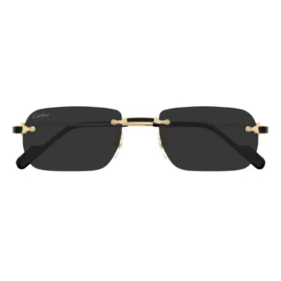 Cartier Ct0498s-001 Gold-gold-grey In Black