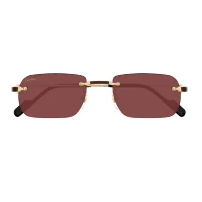 Cartier Ct0498s-002 Gold-gold-red In Brown