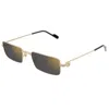 Cartier Ct0501s-005 Gold-gold-grey