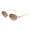 Cartier Ct0504s-002 Gold-gold-red In Multi