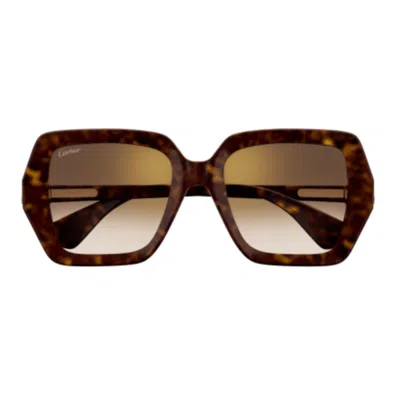 Cartier Ct0507s-002 Havana-havana-brown