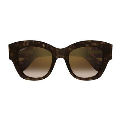 Cartier Ct0547s Panthère C De  002 Havana Brown Sunglasses