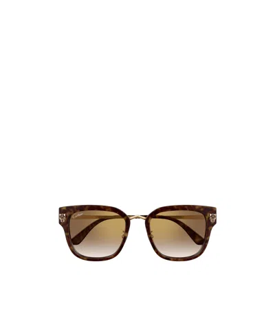 Cartier Full Frame Sunglasses In Brown