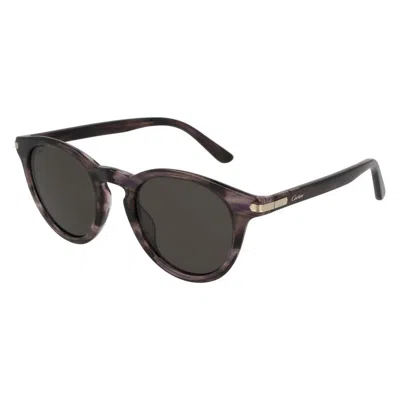 Cartier Grey Phantos Unisex Sunglasses Ct0010s 003 48 In Brown