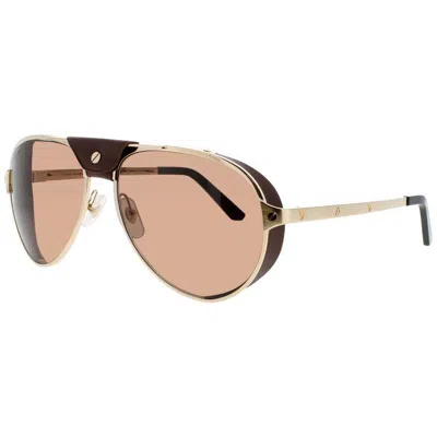 Cartier Men's Brown Rectangular Sunglasses Ct0296s005 In ["brown"]
