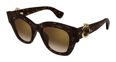 Cartier Panthere C Brown Cat Eye Ladies Sunglasses Ct0547s 002 52 In Orange