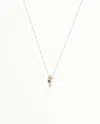Cartier Panthère De  Necklace Full Set