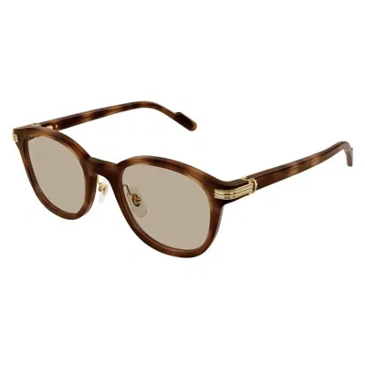 Cartier Premiere De  Brown Oval Men's Sunglasses Ct0302s 012 53