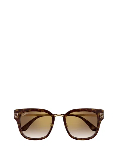 Cartier Ct0509sa Sunglasses In Multi