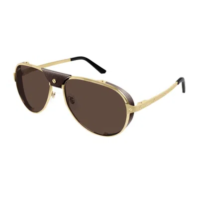 Cartier Sunglasses In Brown