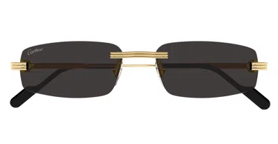 Cartier Sunglasses In Green