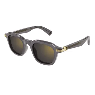 Cartier Sunglasses In Gray