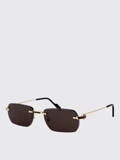 Cartier Sunglasses Men Grey In Brown