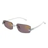 Cartier Sunglasses In Silver