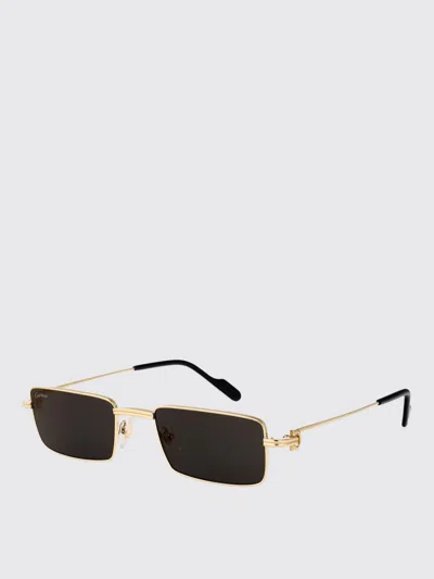 Cartier Sunglasses Woman Grey 1 In Black