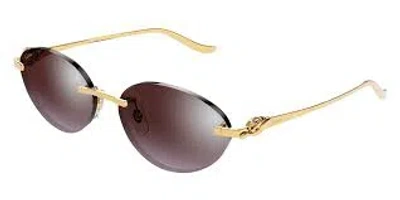 Cartier Violet Oval Ladies Sunglasses Ct0504s 004 58 In Brown