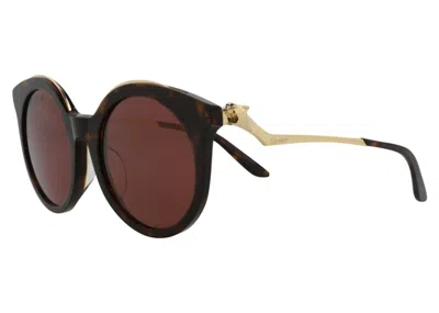 Pre-owned Cartier Women's  Round Sunglasses/30003126002) In Havana/gold/red (ct0118sa