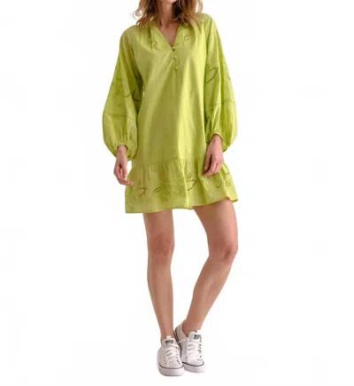 Cartolina Nantucket Selwin Mini Dress In Chartruese In Multi