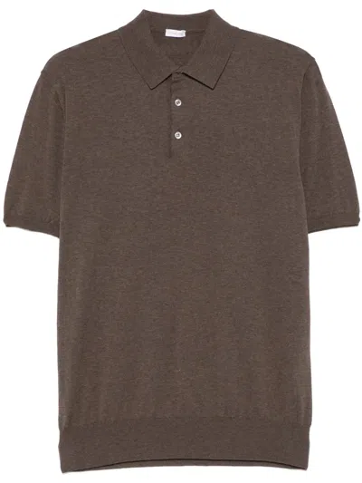 Caruso Cotton Polo Shirt In Brown