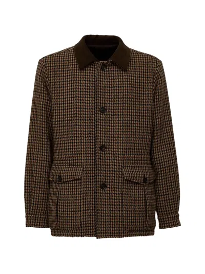 Caruso Dalila Padded Jacket In Brown