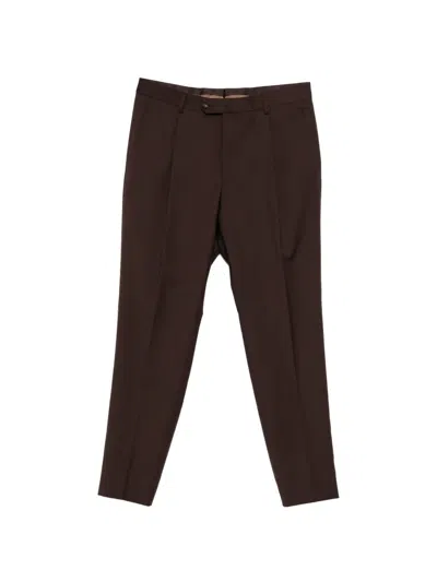 Caruso Pleated Trousers In Brown