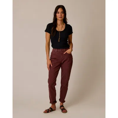 Carve Designs Carson Hi Rise Jean In Brown