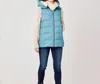 Carve Designs Davos Down Vest In Hydro In Multi
