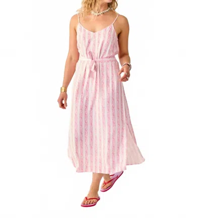 Carve Designs Macy Maxi Dress In Pink Paisley