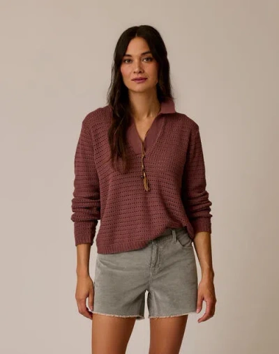 Carve Designs Morgan Polo Sweater In Brown