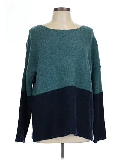 Pre-owned Carve Designs Pullover Sweater In Blue