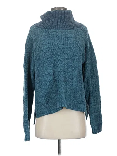 Pre-owned Carve Designs Turtleneck Sweater In Blue