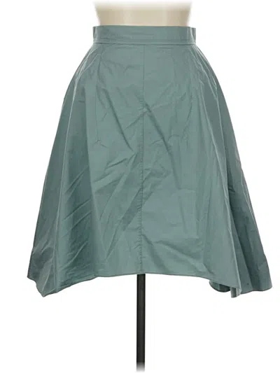 Pre-owned Carven Casual Skirt In Blue