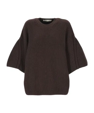 Carven Crew-neck Sweater In Brown