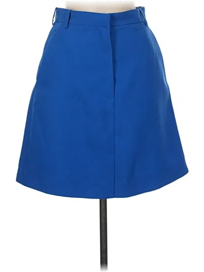 Pre-owned Carven Formal Skirt In Blue