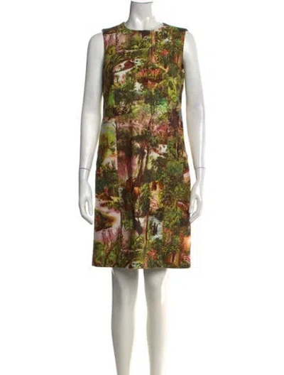 Pre-owned Carven Printed Knee-length Dress In Green