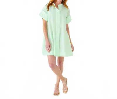 Caryn Lawn Margo Seersucker Dress In Green